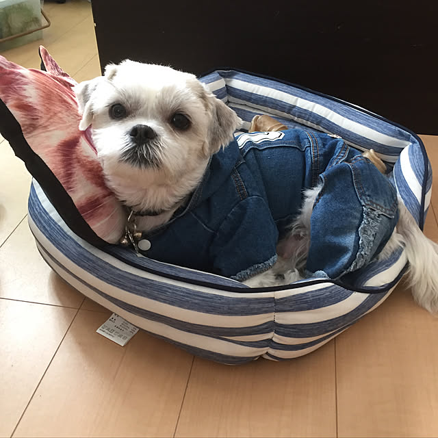 emiさんの実例写真