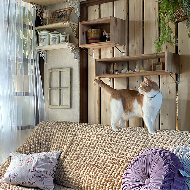 mintteaさんの実例写真