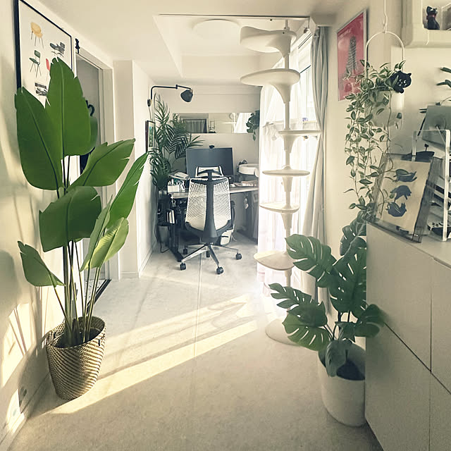リビング/人工観葉植物/フェイクグリーン/IKEA/椅子...などのインテリア実例 - 2025-02-24 08:35:55