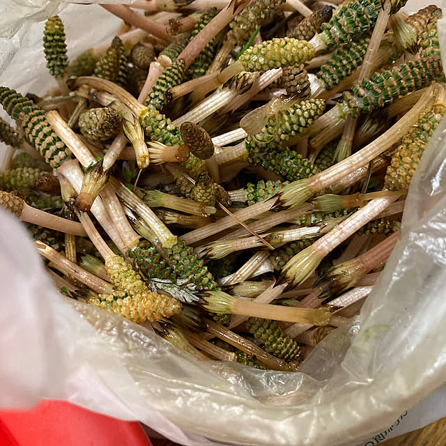 kazu-cafeさんの部屋