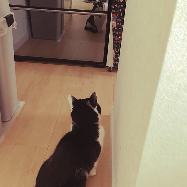 himechanさんの実例写真