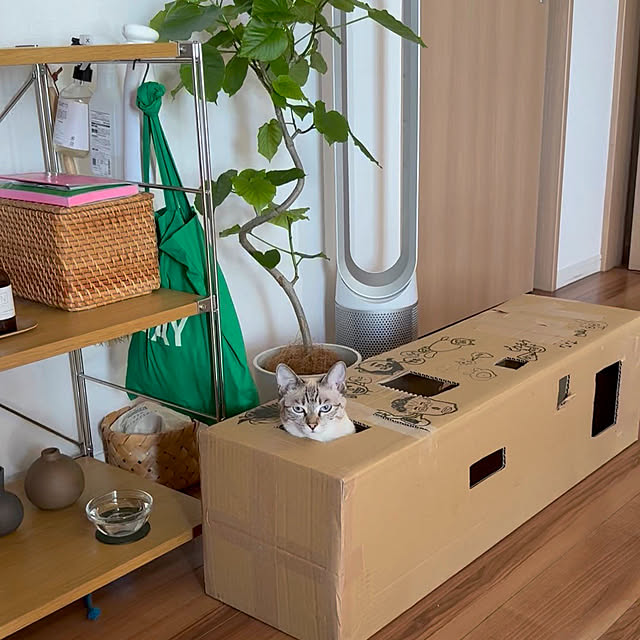 amさんの実例写真