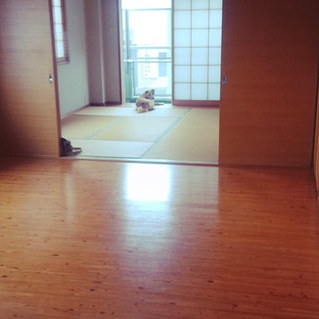 puku.さんの実例写真