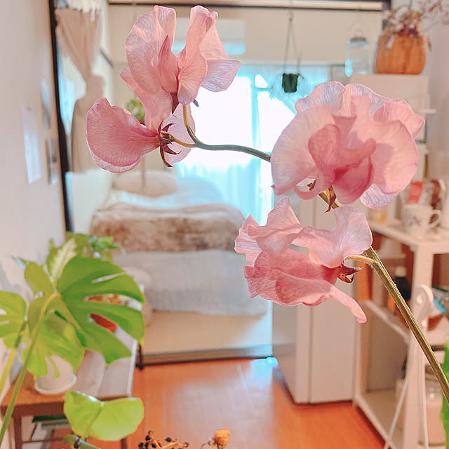 smallroomさんの実例写真
