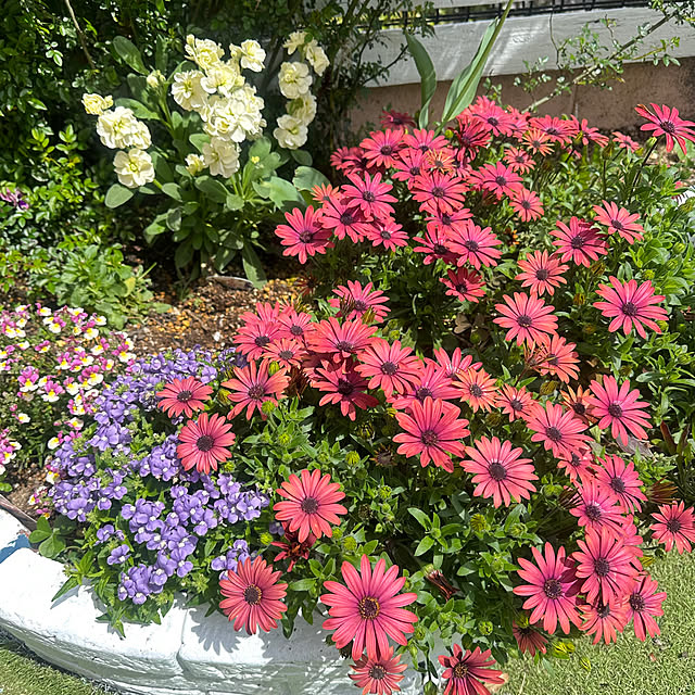 Megumiさんの部屋