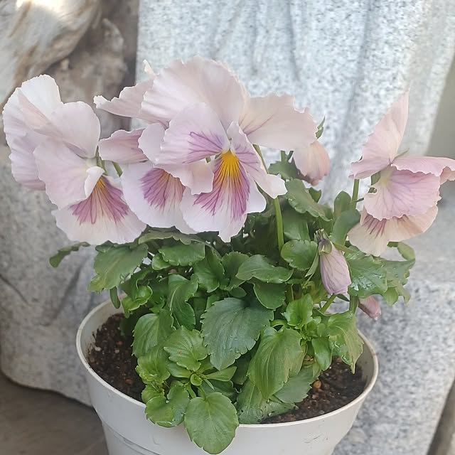 hiro.904さんの部屋