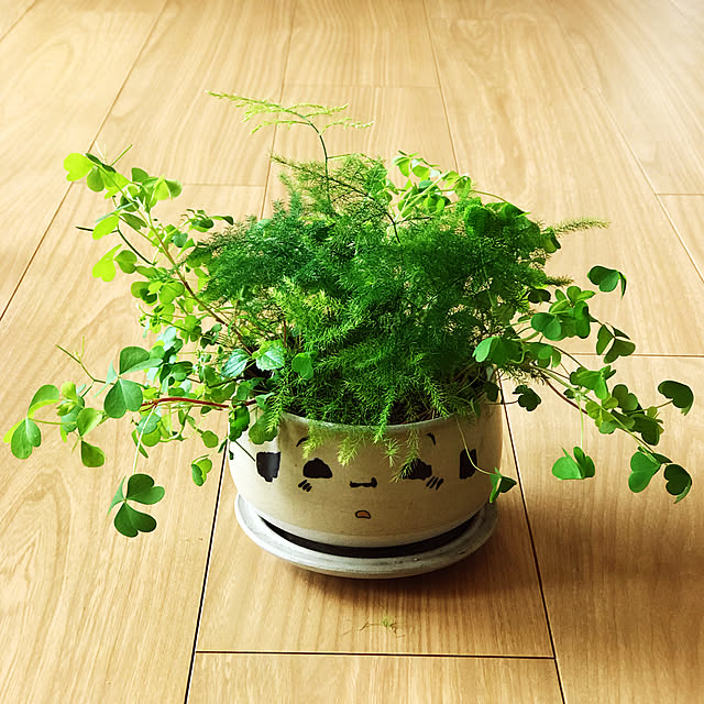 fuyiqian1026さんの実例写真