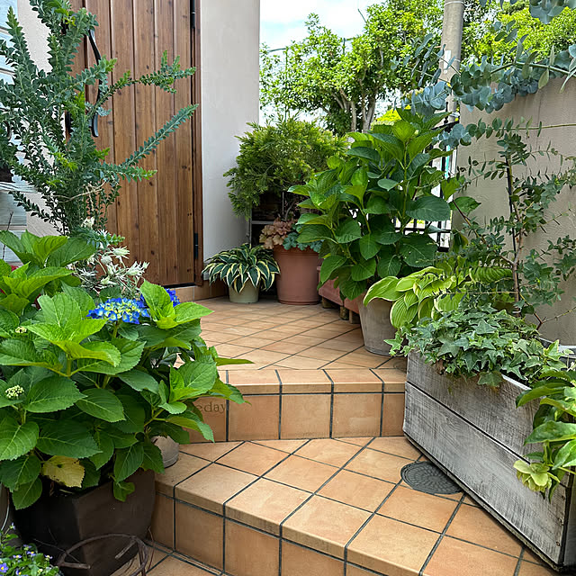 kokkomachaさんの部屋