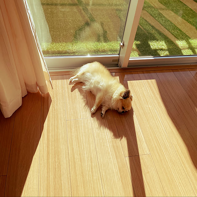 nanakoさんの実例写真