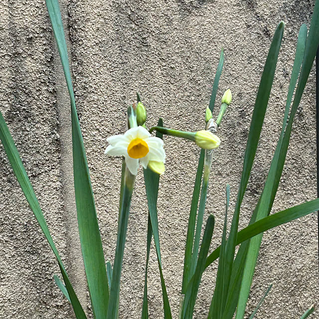 fumikoiさんの部屋