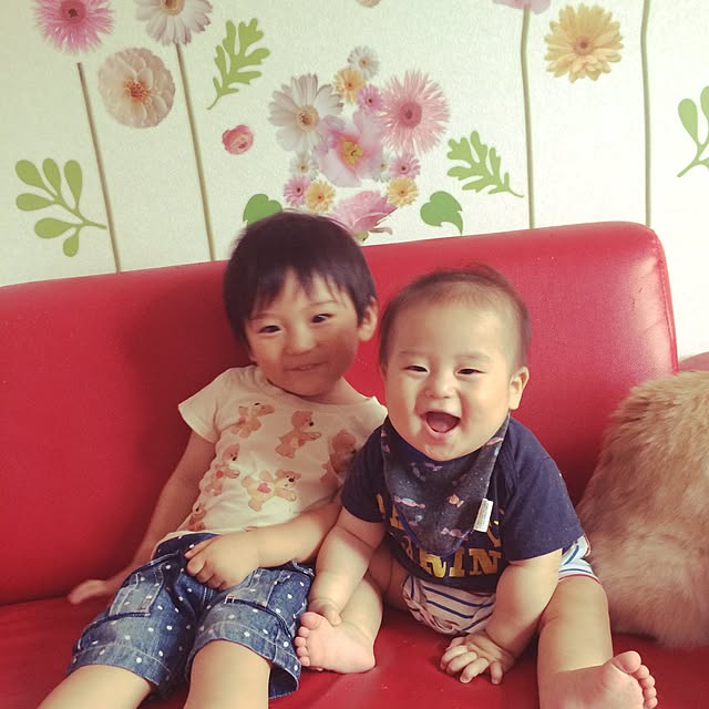 実例写真
