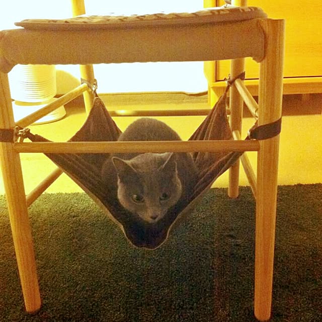 kosame918さんの実例写真