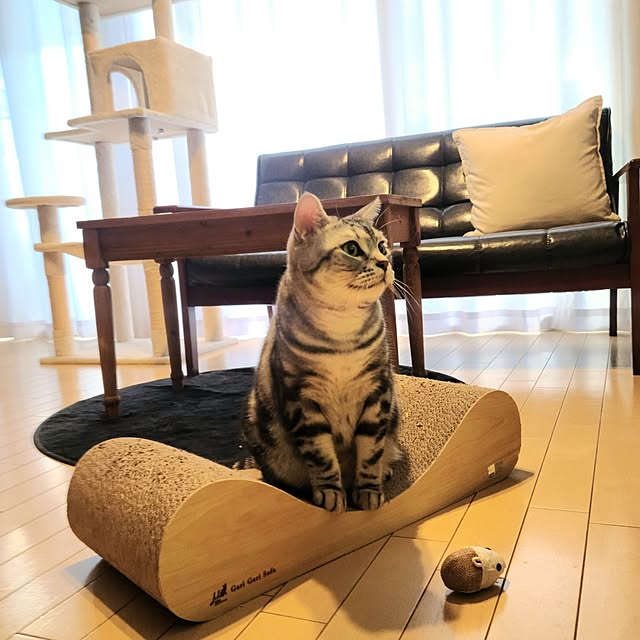 lovepeaceさんの部屋