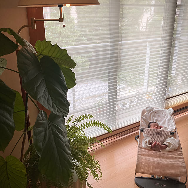 kaoriさんの実例写真