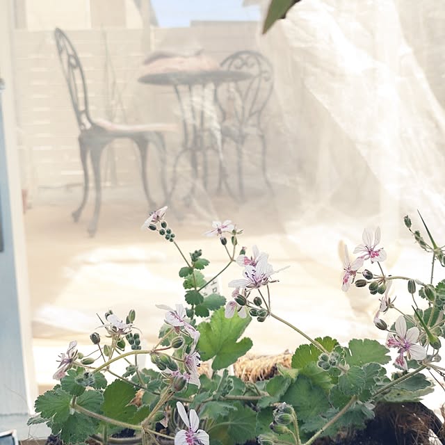 Bienvenueさんの実例写真