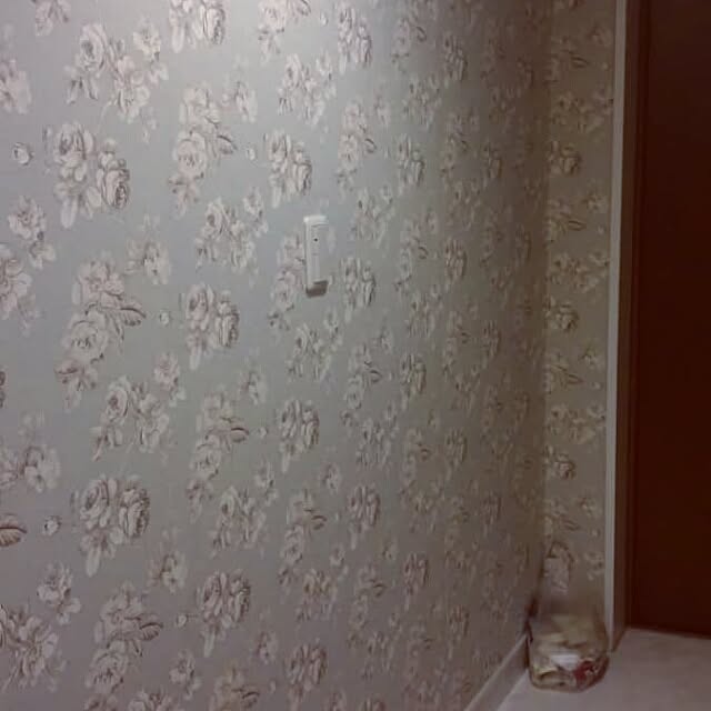 玄関/入り口/壁紙屋本舗の壁紙/花柄/国産壁紙/壁紙屋本舗のインテリア実例 - 2016-09-19 00:47:06