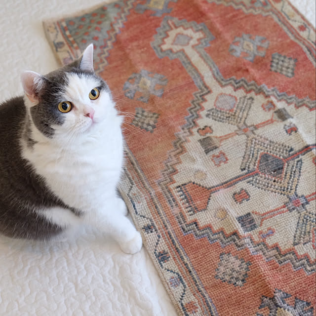 yunさんの実例写真