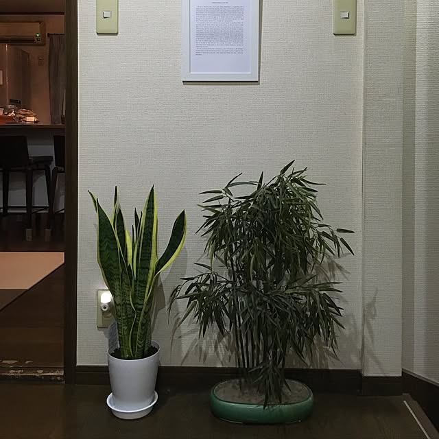 Shinjiroさんの実例写真