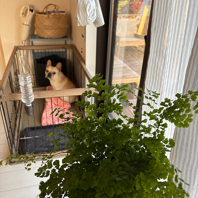 haruharu3さんの部屋