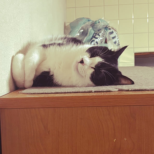 nanohanaさんの実例写真