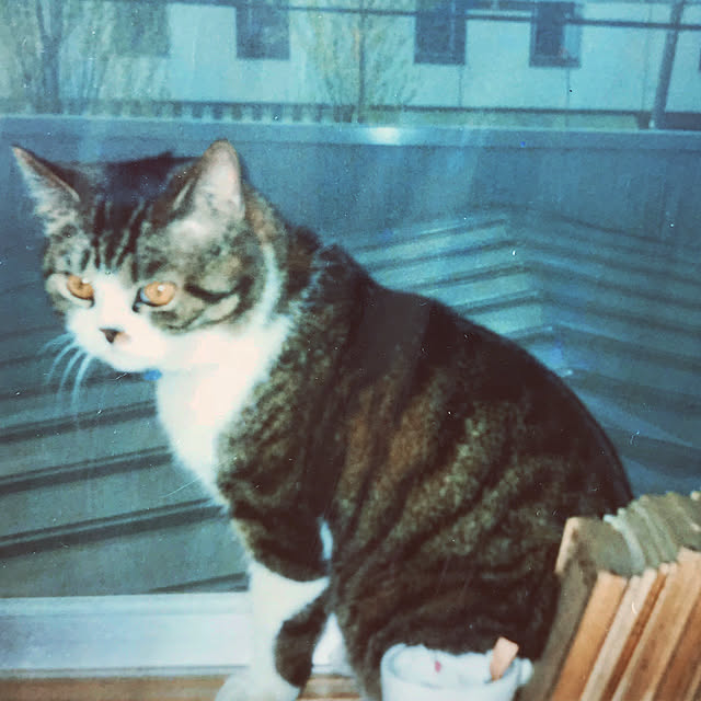 Watanabejunpilさんの実例写真