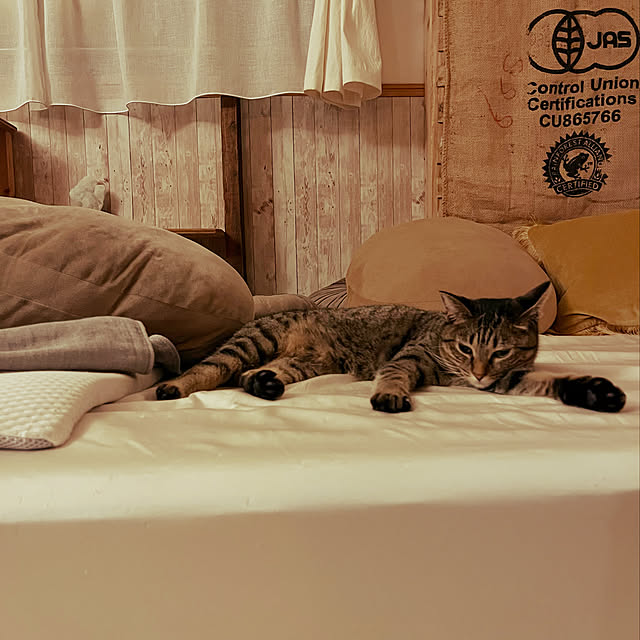 Mさんの実例写真