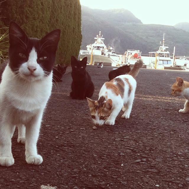 mobiri57さんの実例写真