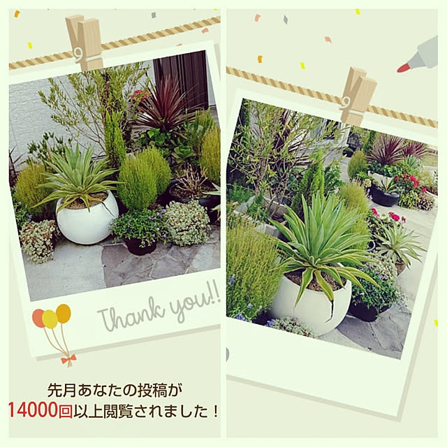 boutique.masayoさんの実例写真