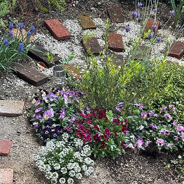 junさんの実例写真