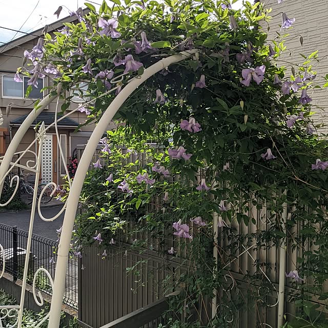 ryo.kotaさんの実例写真