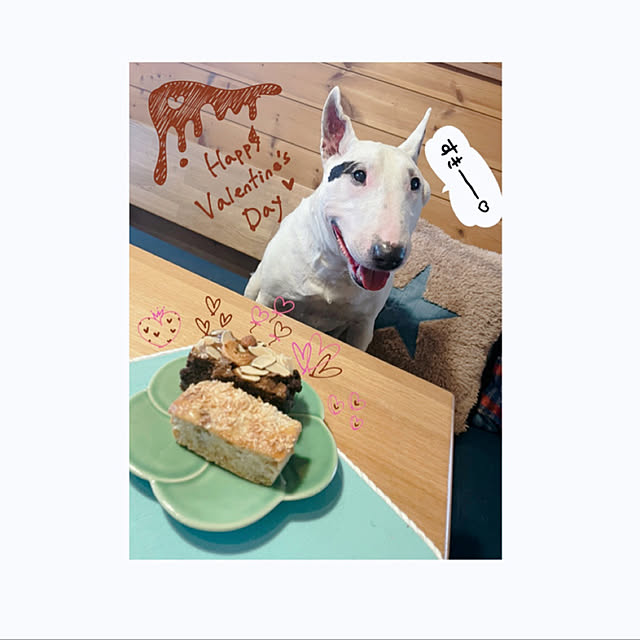 kimuneisanさんの実例写真