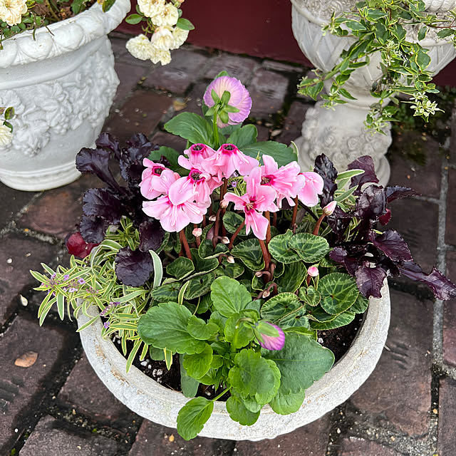 AYUKOさんの部屋