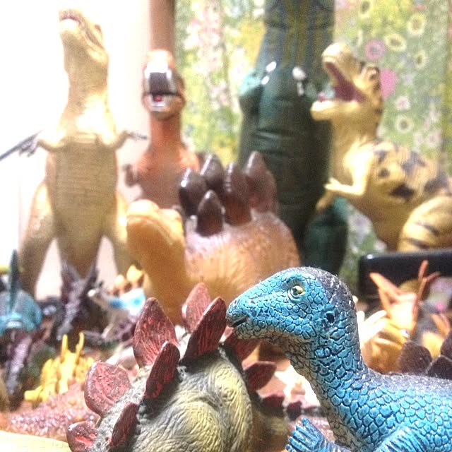 nodaさんの実例写真