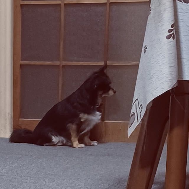 hiro-yさんの部屋