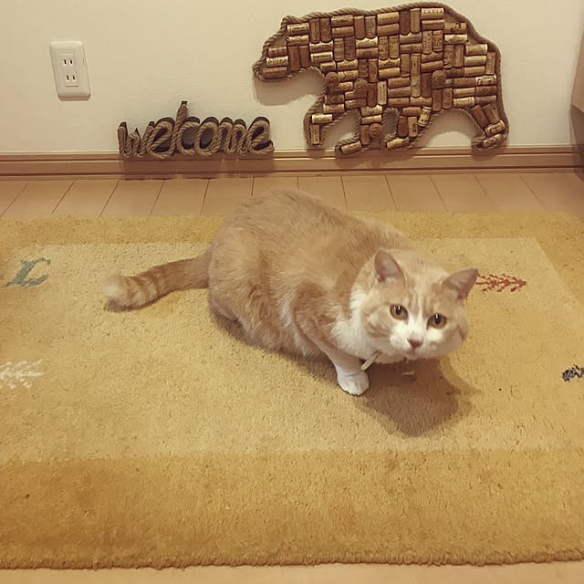 BUNさんの実例写真