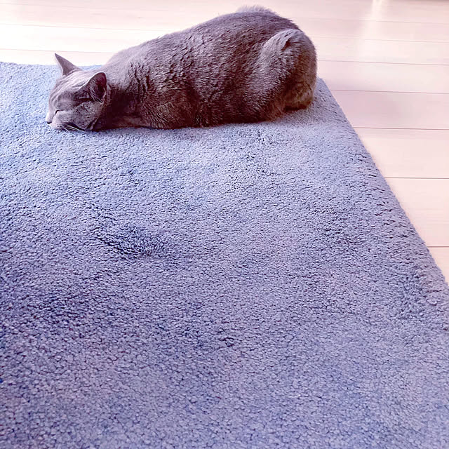 snoopyさんの部屋
