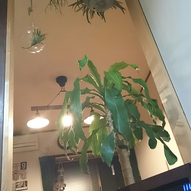 mizuさんの実例写真