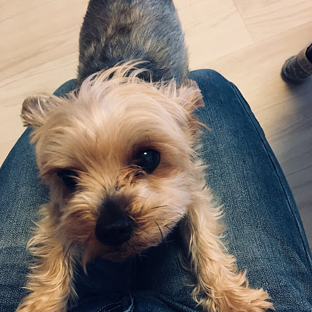 ohanaさんの実例写真