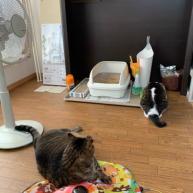 mohimikanさんの実例写真