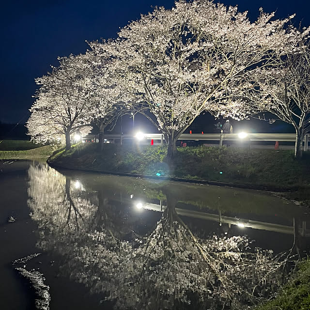 kyukoさんの部屋