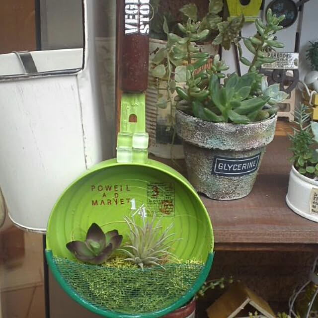 実例写真