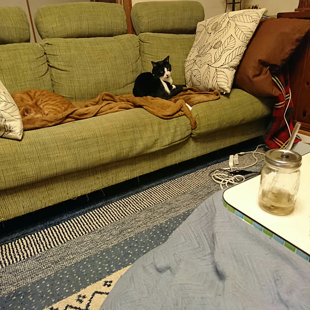 okyosan101さんの実例写真