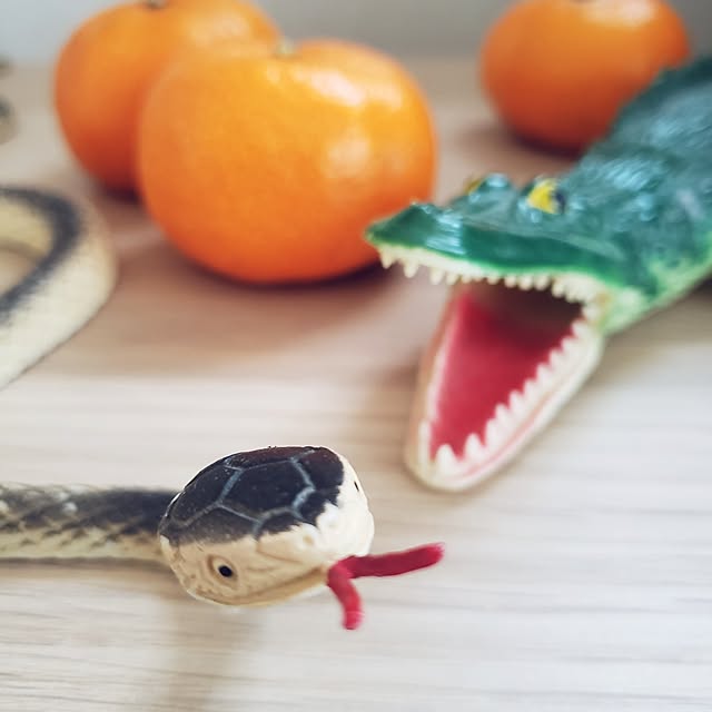 wanidaさんの実例写真