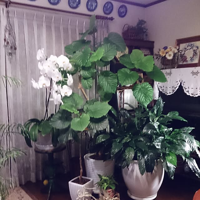 kazu0905さんの実例写真