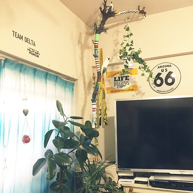 kumimaru.w.s.cさんの実例写真