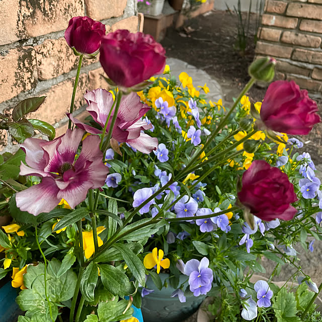 natsumiさんの部屋