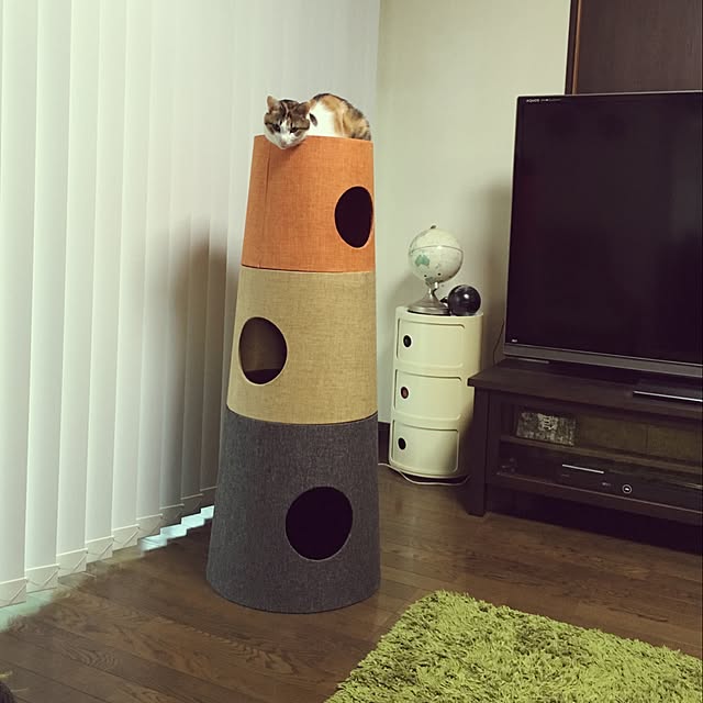 neneさんの実例写真