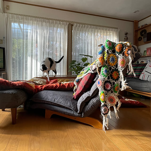 nobikoさんの部屋