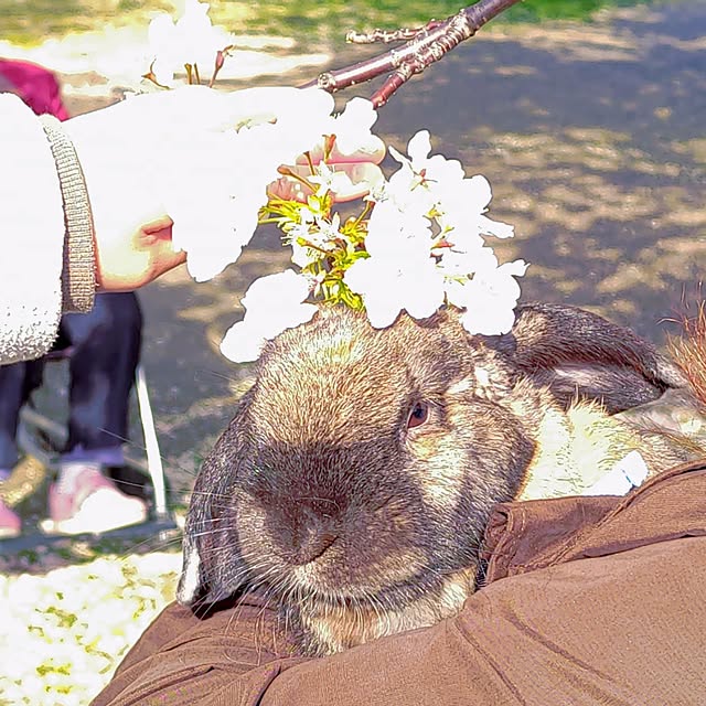 mariaさんの部屋