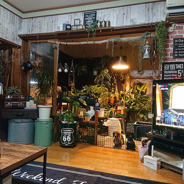 tikuwaさんの実例写真